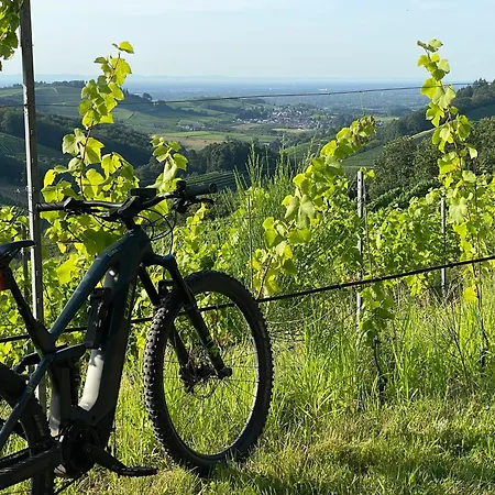 Schwarzwald Wellness Byhannes - Sauna, Wandern & Strassburg Erlebnis Apartman Oberkirch