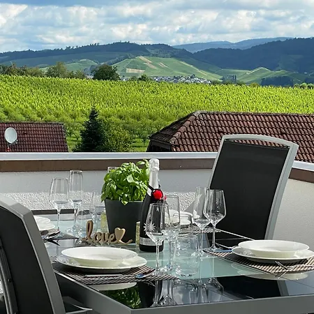 Lejlighed Schwarzwald Wellness Byhannes - Sauna, Wandern & Strassburg Erlebnis Oberkirch (Baden)